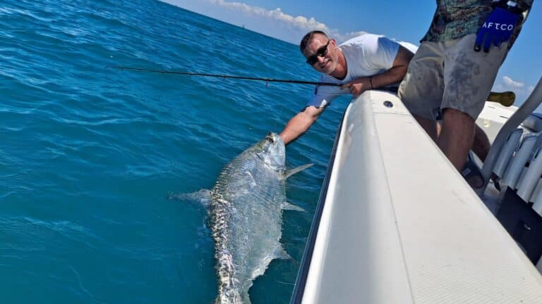 Angler holds a tarpon at boatside in the Boca Grande area